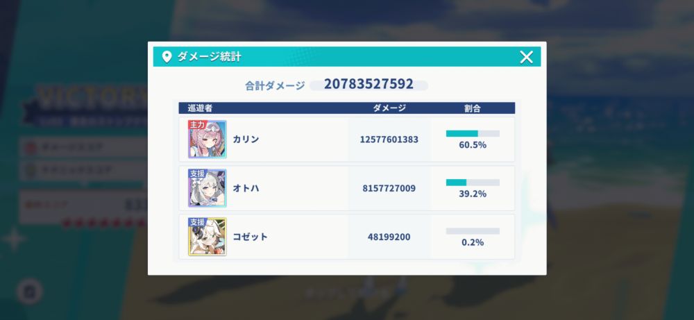 ダメージ統計画面